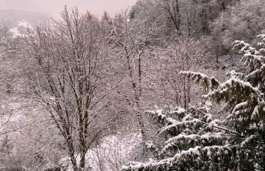 Waldseele Appartement - Foto 10