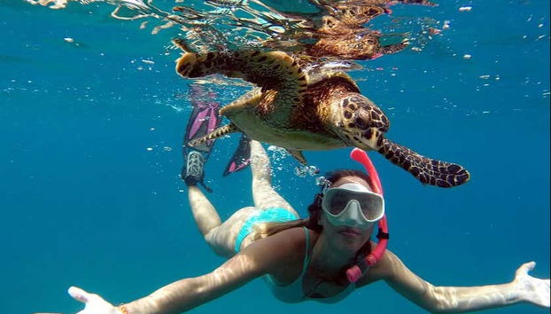 Boat Ride + Snorkeling at Sancho Beach - Foto 3