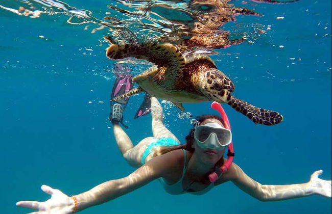 Boat Ride + Snorkeling at Sancho Beach - Foto 3