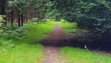 The Nest at Deneside - Foto 5