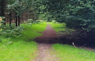 The Nest at Deneside - Foto 5