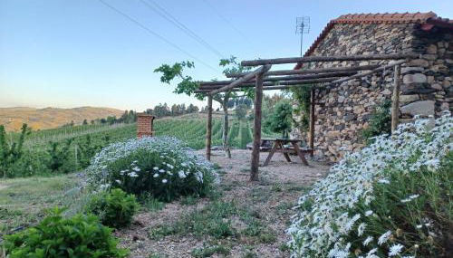 Casa do Feitor - Douro - Quinta da Cabrida - Foto 2