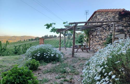 Casa do Feitor - Douro - Quinta da Cabrida - Foto 2