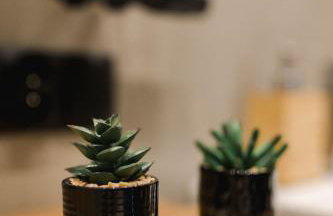 Domek na wyłączność - Borówkowa. SAUNA - Foto 59