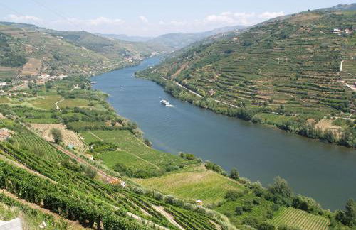 Casa Dona Maria - Armamar Douro - Foto 44