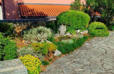 Dream In Green - Foto 53