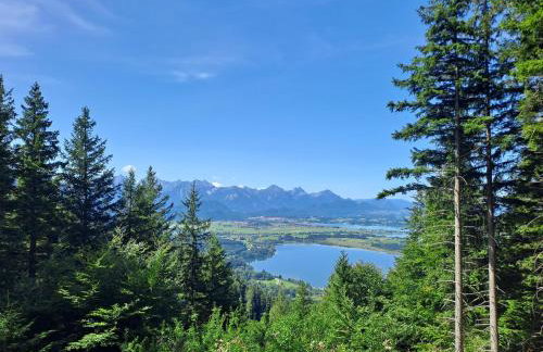 Allgäu-Genuss - Foto 20