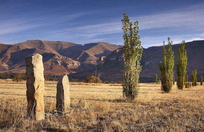 Dynasty Red Mountain Ranch - Photo 34