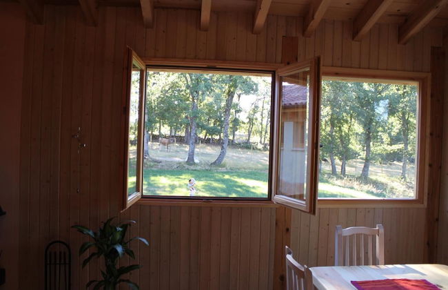 Eco Urbión - Foto 10