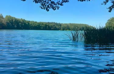 Bungalows im Grünen - Photo 31