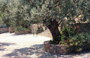 Angelica Villas Hotel Apartments - Photo 46