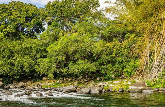 Rafting en canoë sur la rivière Marsouins - Photo 1