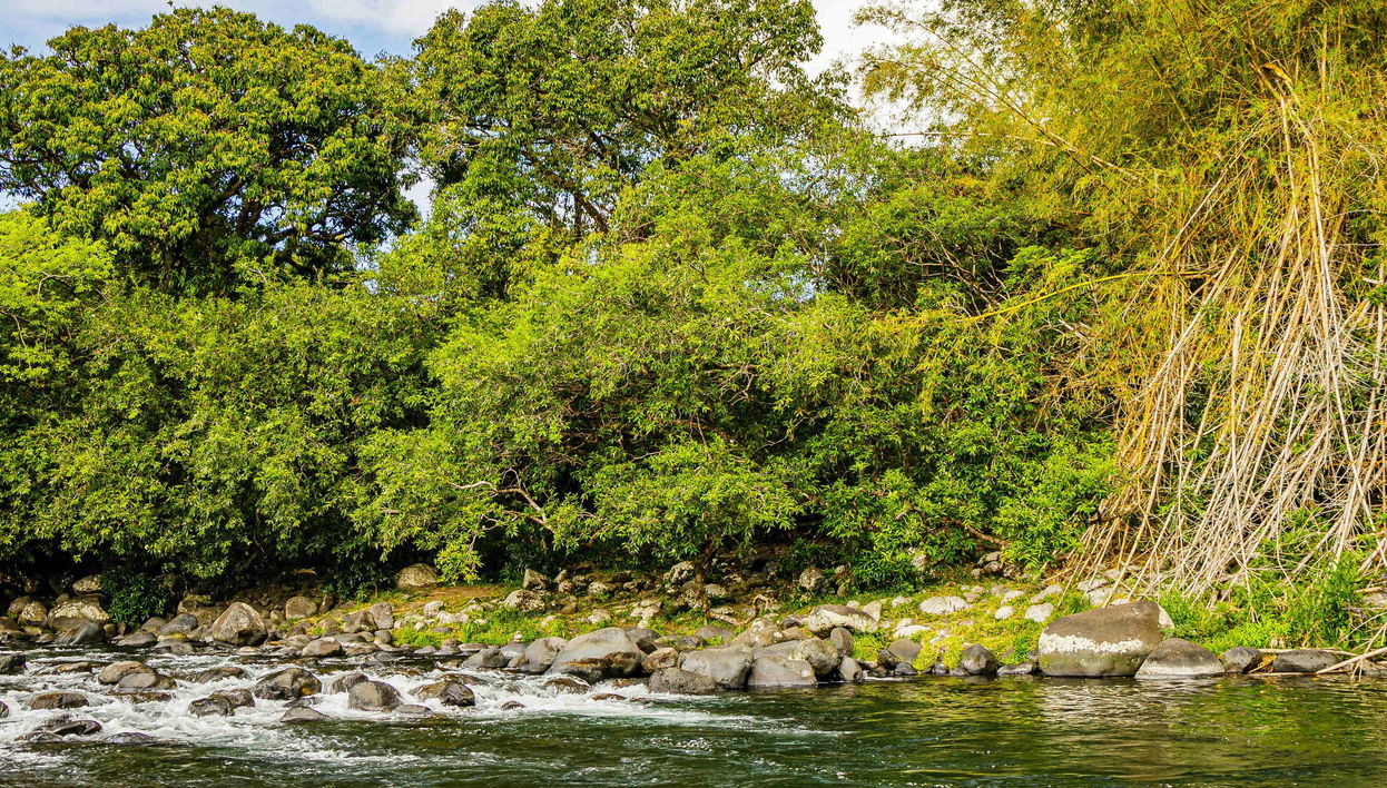 Rafting en canoa en el río Marsouins