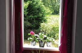 Lar A Rola El precio x una noche es para dia y medio Check in 9am Out 21pm - Foto 30