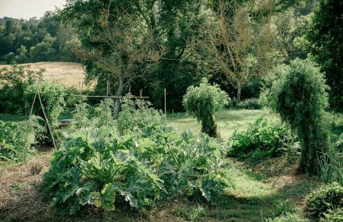 Traditional Apartment In The Heart Of Umbria - Foto 10