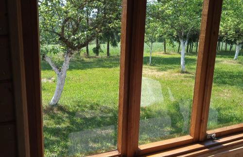 Sielanka na wzgórzu - Foto 20