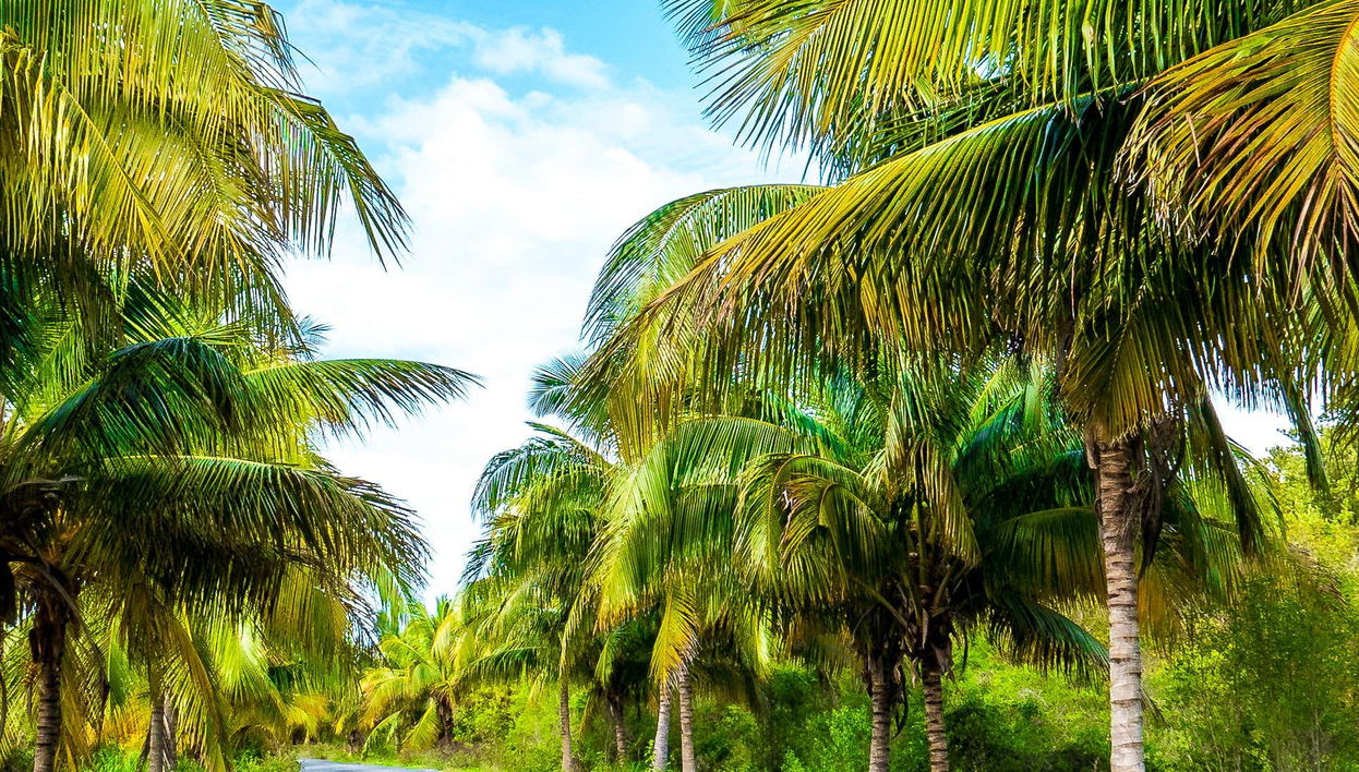 Traslado hasta Cayo Jutías