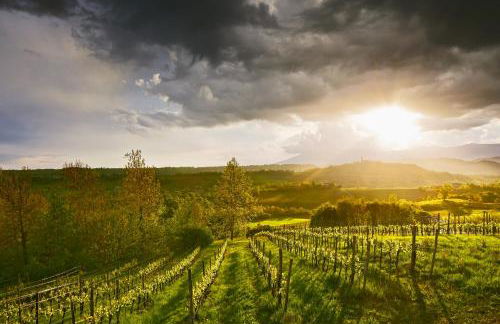 La Valle dei Laghi - Foto 54