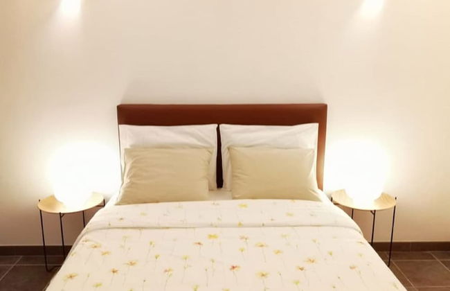 Sobreiros's Villa in Douro Valley - Foto 11