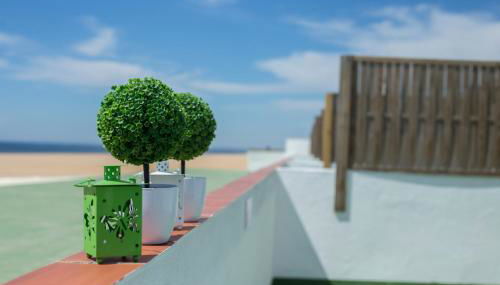 Apartamentos Calypso - Foto 4