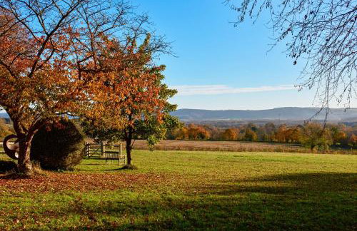 Stunning Cabin with incredible views near Goodwood - Foto 29