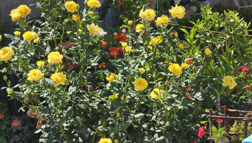 Soula appartments - Foto 2