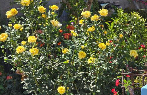 Soula appartments - Foto 2