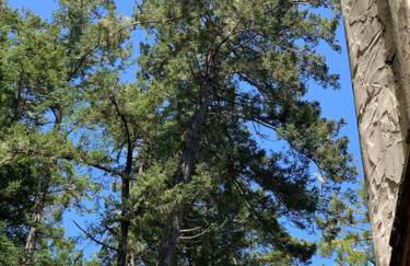 The Storybook Cottage - Foto 17