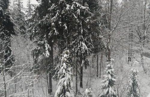 Apartamenty Krokiew - Foto 70