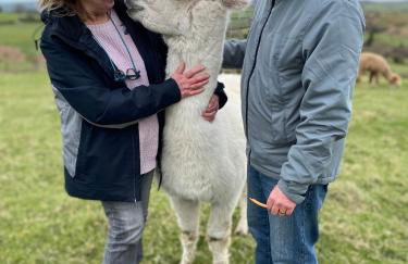 Unique Stay on an Alpaca Therapy Farm with Miniature Donkeys North Wales - Foto 24