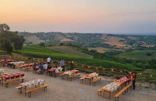 Cantina Visconti - Agriturismo - Photo 10