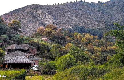 Casa Rural Chao de Castro - Foto 6