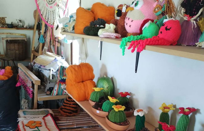 Excursion to Tafí del Valle with a Ceramics + Fabrics Workshop - Photo 5