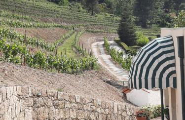 Quinta da Timpeira - Foto 51