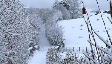 Treeside woodhouse - Photo 3