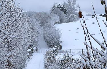 Treeside woodhouse - Foto 3