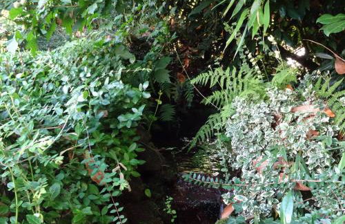 Traumferienwohnung zwischen Köln und Düsseldorf - Foto 30