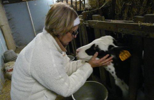 Gîte : La Cochetière : ancienne ferme 18éme - Foto 14