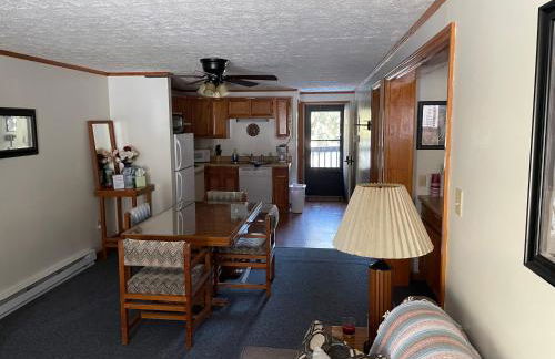 2 Bedroom 2 Bathroom - Blue Knob All Season Resort Condo - Foto 14