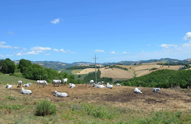 Cozy Couples Getaway w/ Wifi - Foto 28