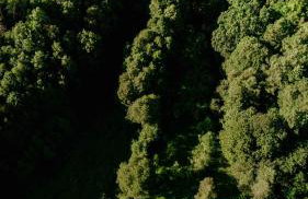 Balia i Las Domek nad jeziorem MoreLife House - Foto 5