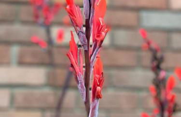 The Woodpeckers - Alresford Essex - Foto 46