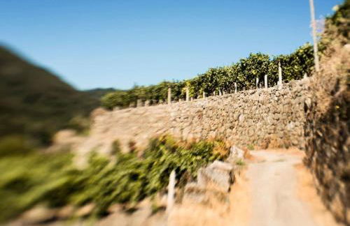 Aldea Rural Pazos De Arenteiro - Foto 45