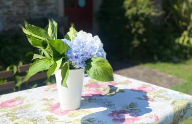 A Painza Aldea Rural - Foto 21