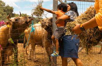 House Of Ntounias ΙΙ - Photo 17