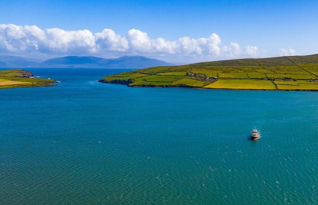 Dingle Courtyard Cottages - Foto 79