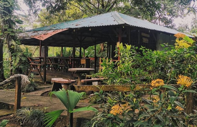 Kinkajoungalows - Foto 16