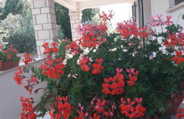 Apartments Angela - Foto 32