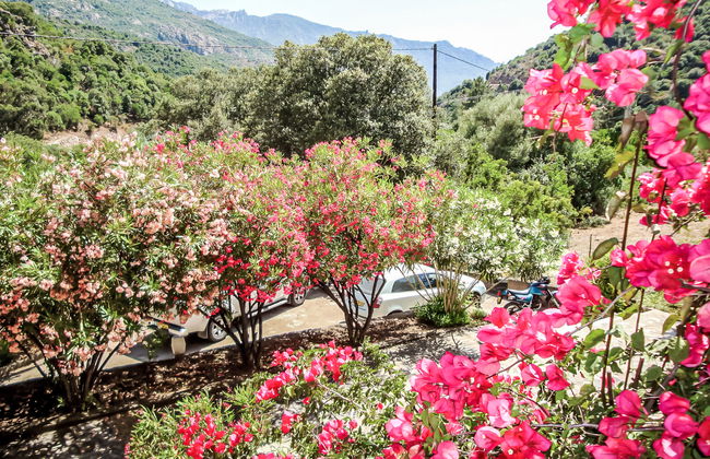 Residence Cabanaccia 3 Pieces 4 Pers - Foto 18