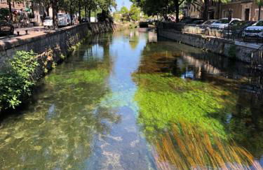 La Petite Rive - Les Oliviers - Foto 30